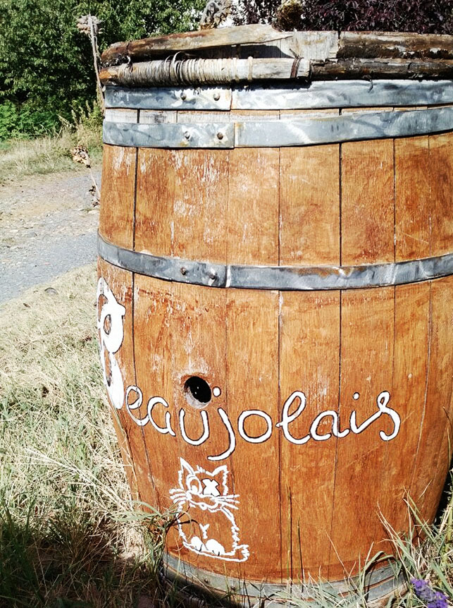 Beaujolais barrel