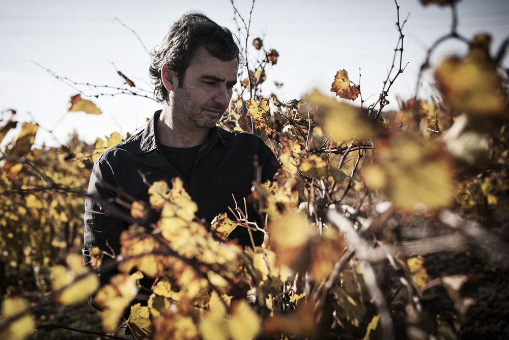 Winemaker Pere Llopart 